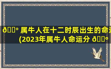 💮 属牛人在十二时辰出生的命运(2023年属牛人命运分 🐺 析)